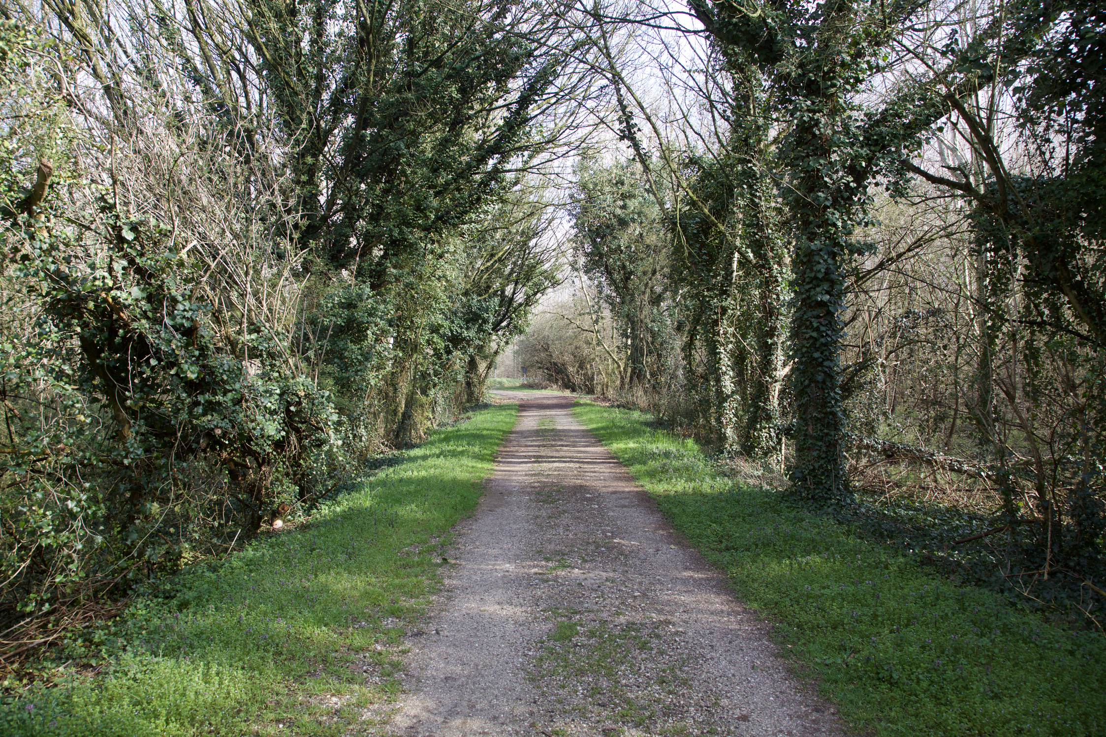 A pebbles path in a park in late winter